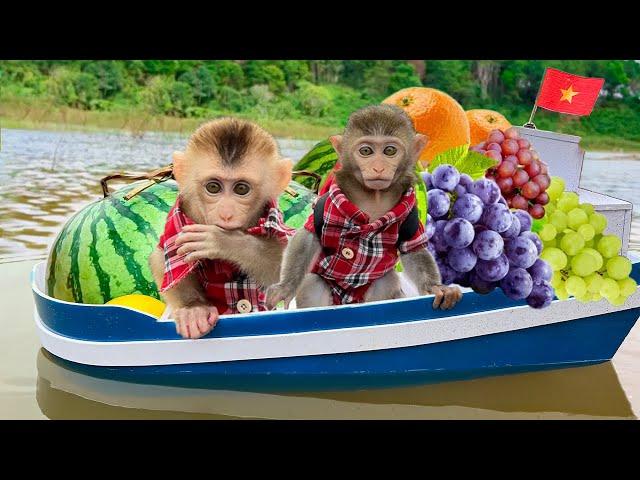 Bim Bim and his wife rowes boat to pick watermelon make juice and takes care of ducklings