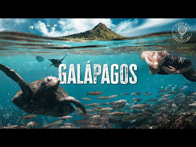 The Most Mind-Blowing Islands on Earth | Galápagos