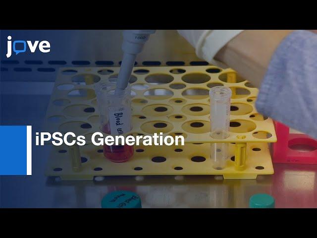 iPSCs Generation by Using Sendai Virus and Centrifugation | Protocol Preview