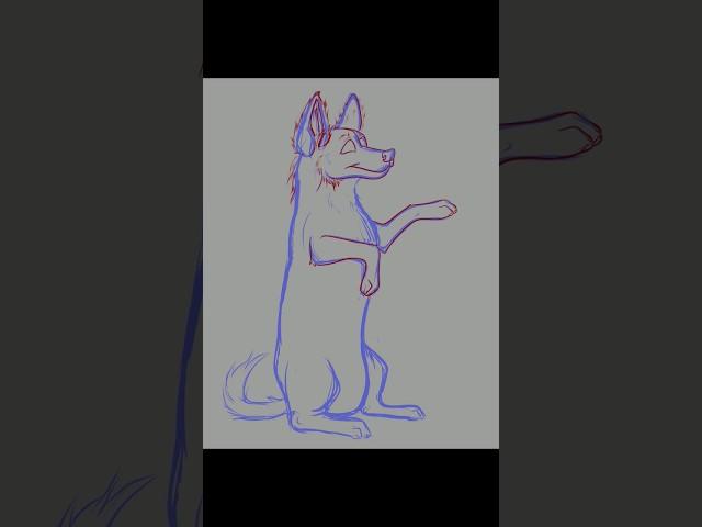 Timelapse: Chiweenie #art #artist #digitalart #digitalartist #animalart #dog #timelapseart