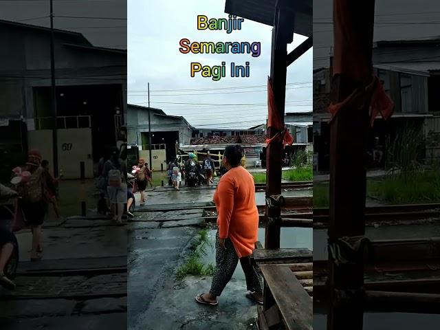 Banjir Pagi Ini Di  Muktiharjo Raya Semarang - Jawa Tengah Sampai Di Atas Lutut Orang Dewasa #shorts