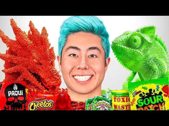 SPICY vs SOUR Food Art Challenge For $5,000!