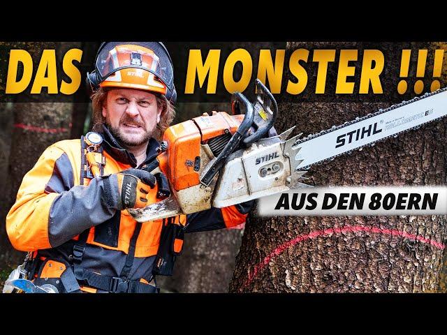 Outdoor Test - In the forest with STIHL 084 AV and MS 260 C