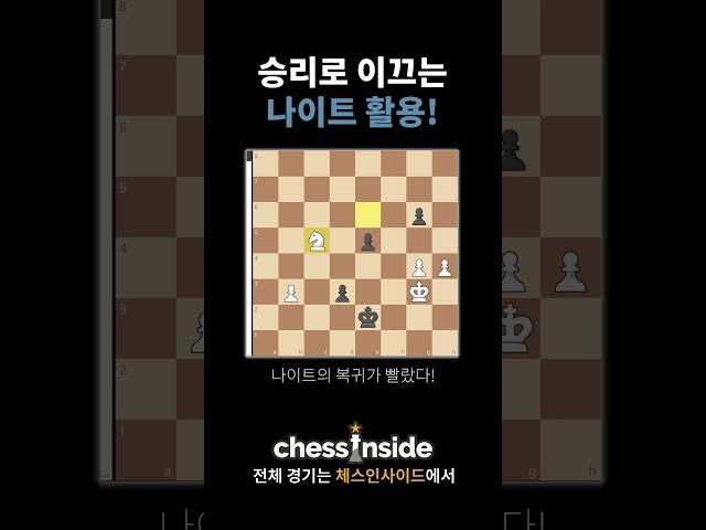 승리로 이끄는 나이트 활용
