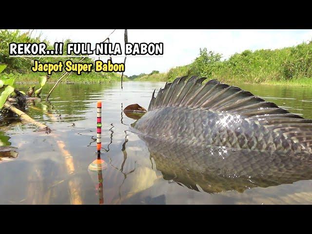 REKOR..!! Mancing liar full ikan nila babon jacpot nya mengerikan