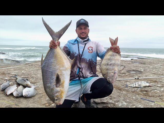 UM MONSTRO DE 10KG EM UMA ILHA INFESTADA DE PEIXES!!! "Meu DEUS" só pancada | PESCARIA de COSTÃO.