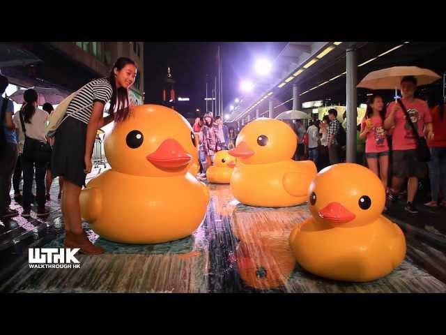 Rubber Duck Project in Hong Kong - Walkthrough HK