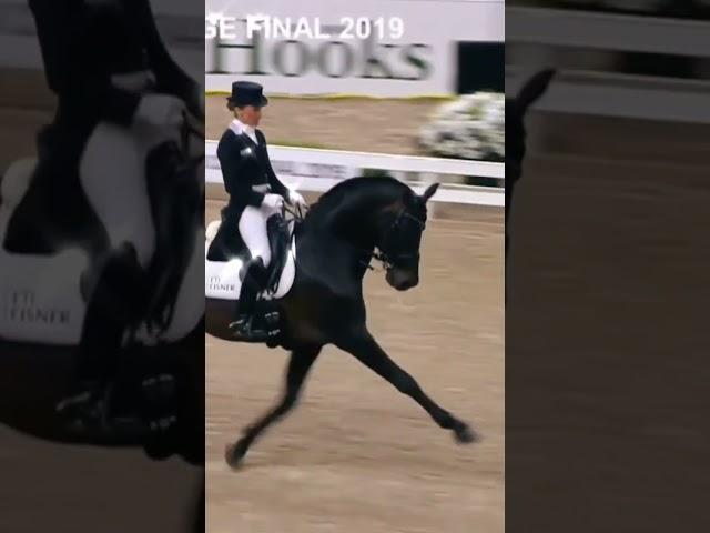 видео не моё!!! #конныйспорт#выездка 