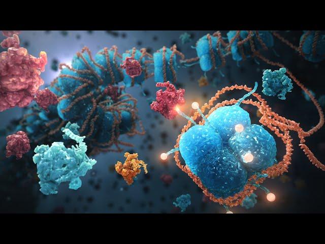 Epigenetics: the next revolution in cancer treatments