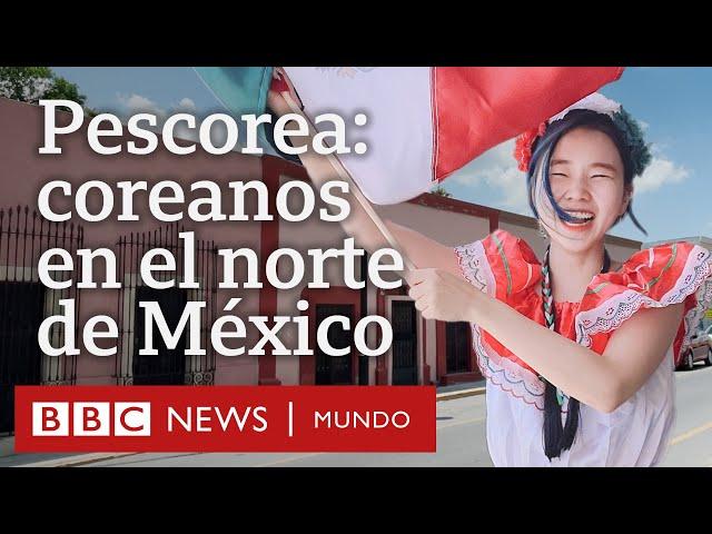 "Pescorea": los miles de coreanos que transformaron una ciudad cerca de Monterrey | BBC Mundo