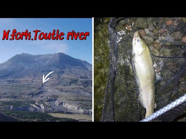 Salmon fishing Mt.St.Helens rivers