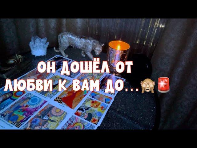 ОТ ЛЮБВИ К ВАМ ОН ДОШЁЛ ДО… ДО ЧЕГО ОН ДОШЕЛ?! #таро #tarot #тароонлайн