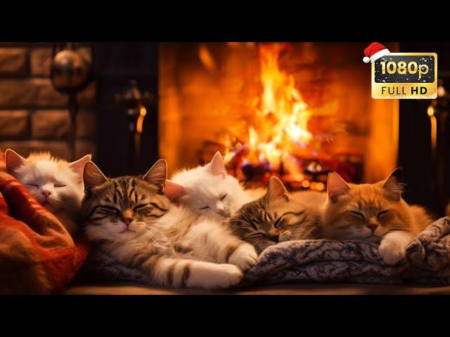 Relaxing To Purring Cats And Cozy Fireplace for Peaceful Night  Deep Sleep, Relax, Study