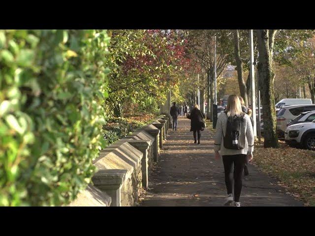 Undergraduate study at Cardiff School of Biosciences
