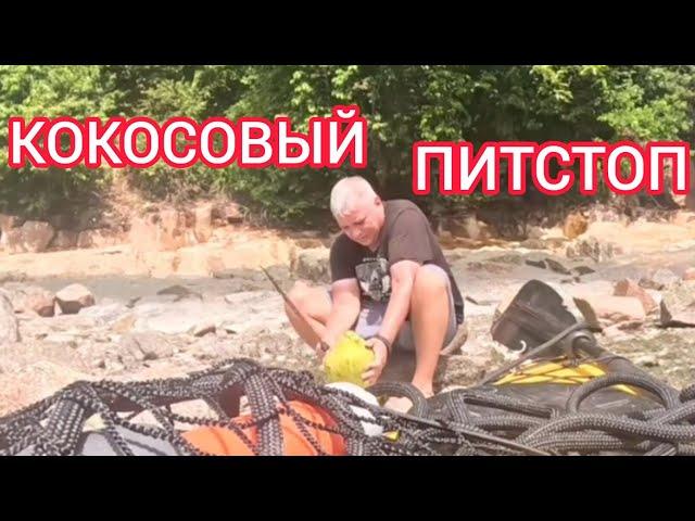 Подкрепил силы кокосом на необитаемом острове. Выживалово Бродяги на каяке.#shorts