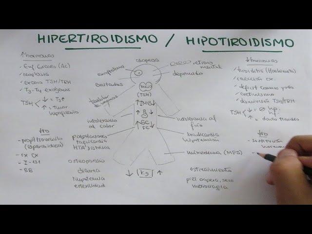 Hipertiroidismo Hipotiroidismo: causas, signos, síntomas y tratamiento