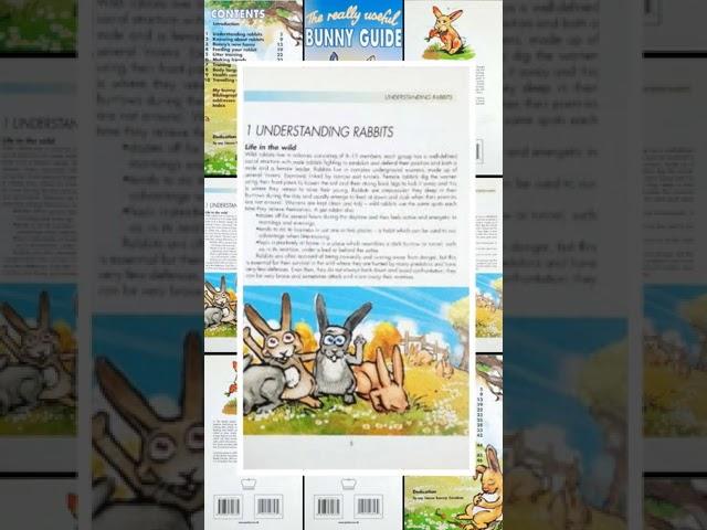 The Really Useful Bunny Guide