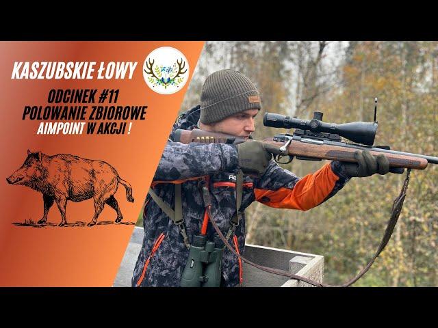 Kaszubskie Łowy #11 Polowanie Zbiorowe Aimpoint w Akcji "Driven Hunt"