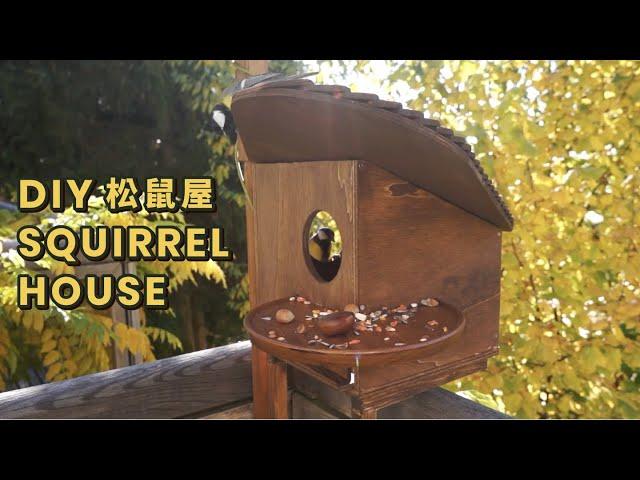 DIY Squirrel House | Balcony renovation, simple woodworking