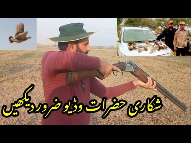 How to mount shot gun fast|How to hunt partridge| Tips&trics|part 11