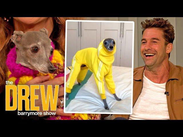 Tika the Iggy Helps Scott Speedman's Instagram Game