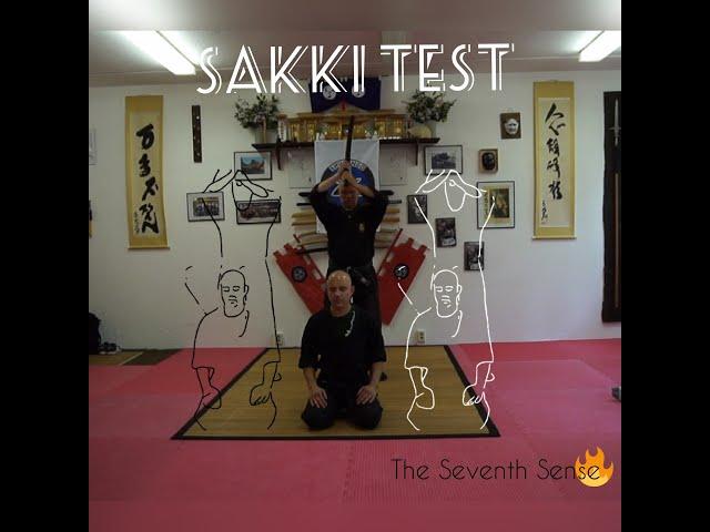 The Sixth Sense | Bujinkan Godan no Shiken | with Dai Shihan Axel Franke