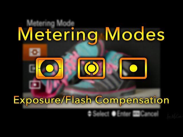 Metering & Exposure/Flash Compensation