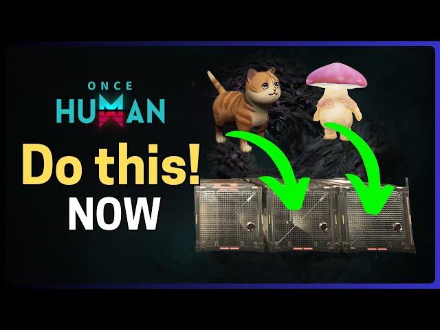 20 Essential Tips & Tricks You MUST Know! Once Human