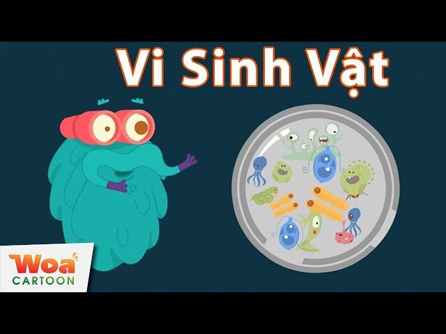 Khám Phá Vi Sinh Vật - Vi Khuẩn Dưới Kính Hiển Vi | Phim Hoạt Hình Mới | Hoạt Hình Khoa Học Hay Nhất