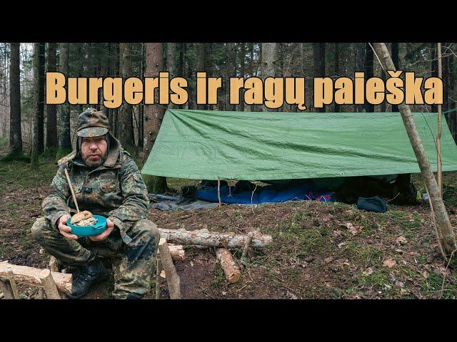 Ragų paieška. Kaulai. Burgerio kepimas.