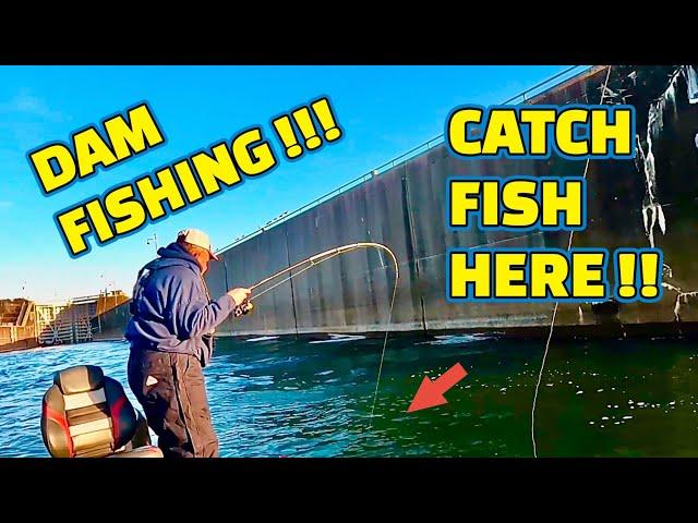 A SIMPLE fishing TECHNIQUE that CATCHES FISH like CRAZY!! ( ACTION PACK )