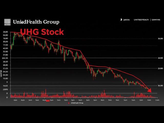 유나이티드헬스 그룹 (unitedhealth group : UNH) 미국주식 현황