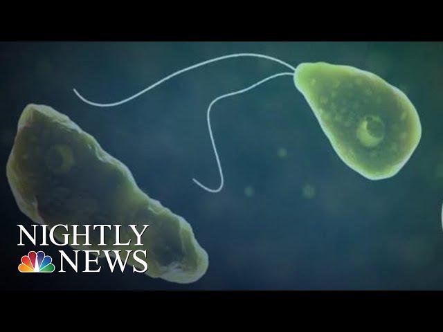 Brain-Eating Amoeba Kills Man Who Swam At Water Park | NBC Nightly News