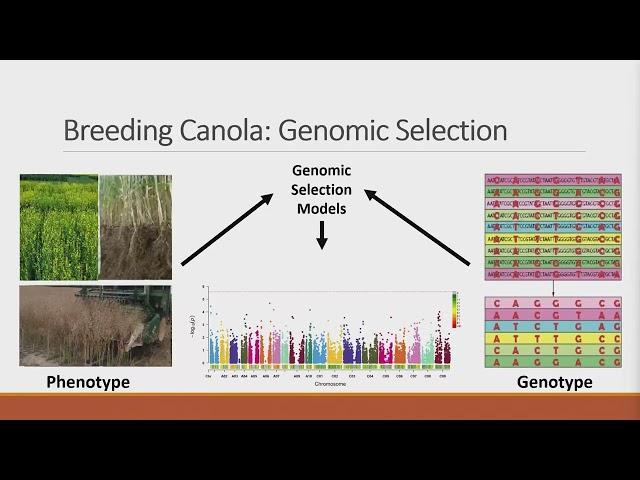 Day 3, Session 3 & 4: Hybrid Heterosis and Production & Gene Editing Panel