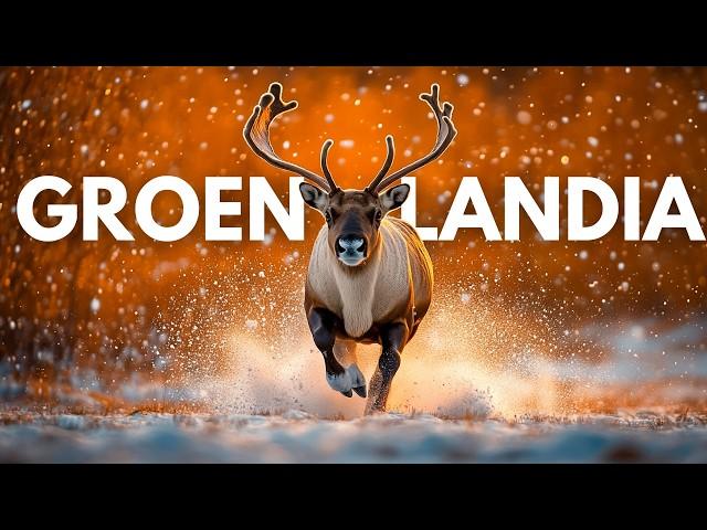 GROENLANDIA – TIERRAS DE HIELO, VIDAS DE ACERO | Documental Completo