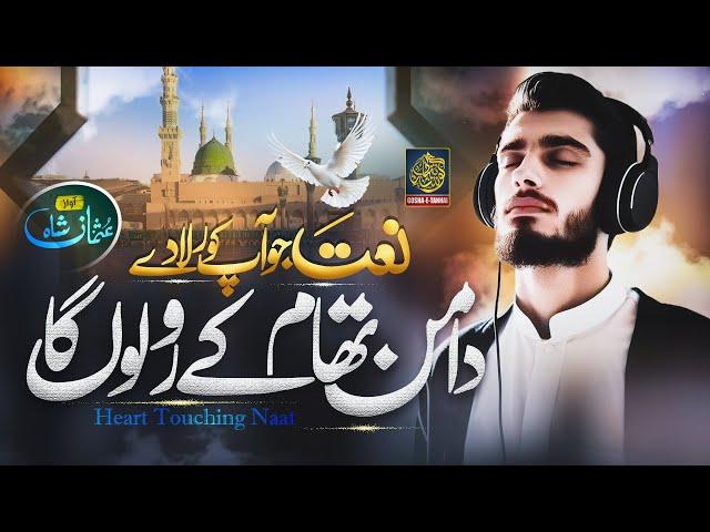 Naat | Heart Touching Naat Sharif 2024 | Dhaman Tham Ky Ro Lo Ga Naat | Usman Shah | Gosha e Tanhai