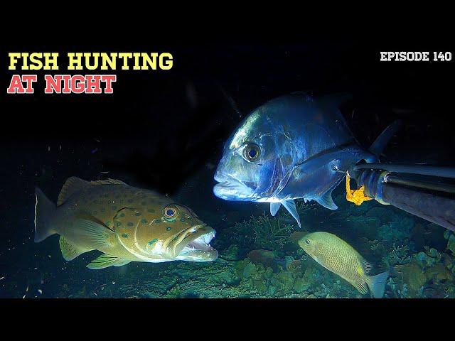 NIGHT SPEARFISHING EPISODE 140 | FISH HUNTING AT NIGHT