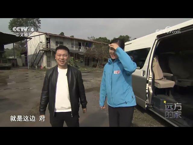 《远方的家》 20230714 山河锦绣看中国 依山傍海 活力南粤|CCTV中文国际