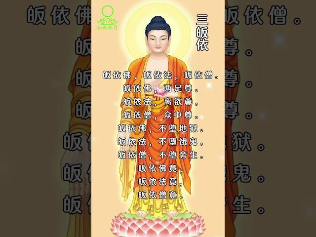 佛学知识系列之【三皈依】至心皈依三宝 皈依佛 皈依法 皈依僧 #正能量 #人生感悟 #佛法