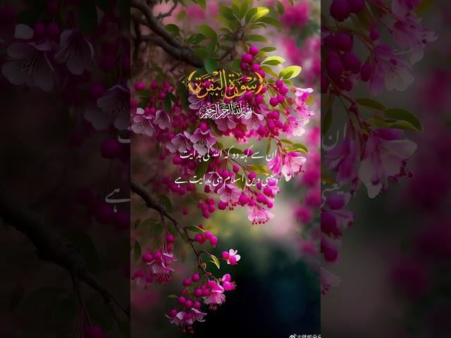 #quran #shortvideo #qurantranslation #viralvideo #urdutranslation #status
