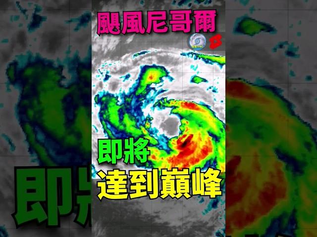 颶風尼哥兒即將達到巔峰 #颱風 #颱風速報 #fypシ #fyp #shorts
