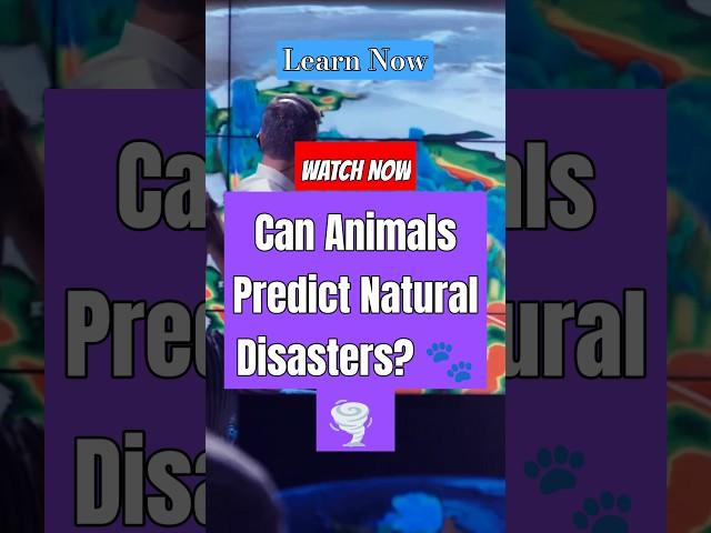 Can Animals Predict Natural Disasters? ️ #animals #naturaldisasters #education