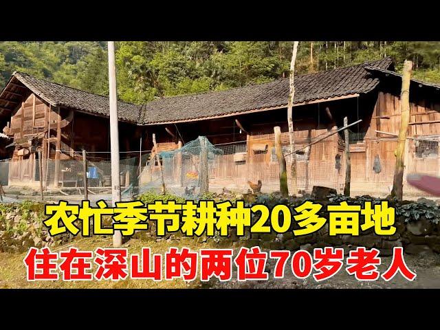 探访住在深山的两位老人，农忙季节种了20多亩地，70岁还这么勤劳！【乡村阿泰】