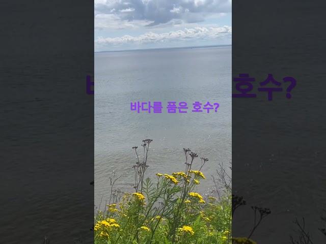 들어는 봤나, 호수의 #파도소리?#Superior lake in Duluth USA