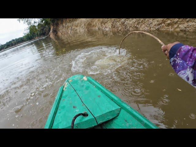 AKIBAT DISAMBAR IKAN INI MATA PANCING KU SAMPAI HILANG SATU