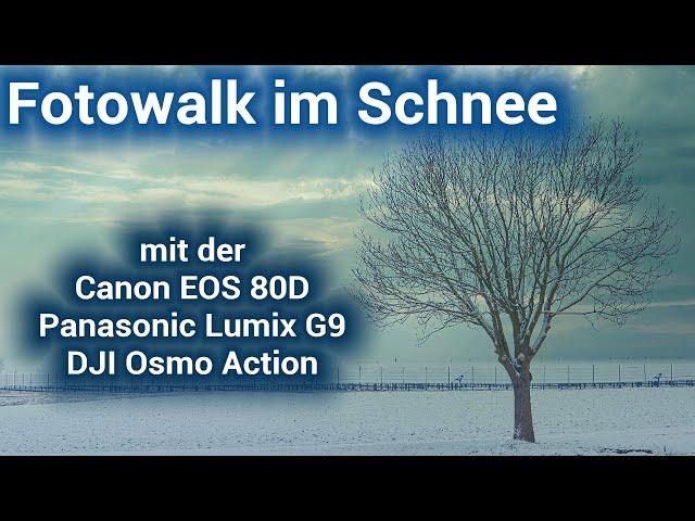  Canon EOS 80D & Panasonic Lumix G9 - Fotowalk bei leichtem Schneefall