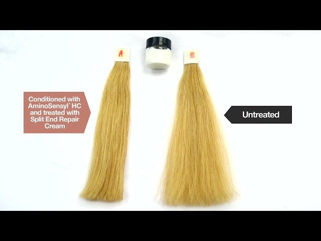 AminoSensyl™ HC - Damaged Hair Repair - Performance Demo