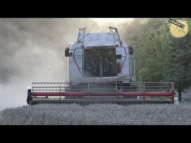 Harvester Claas Lexion 460 doing his job in late summer