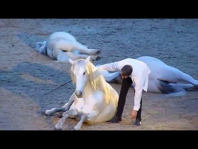 Jean-François Pignon. London International Horse Show 2015