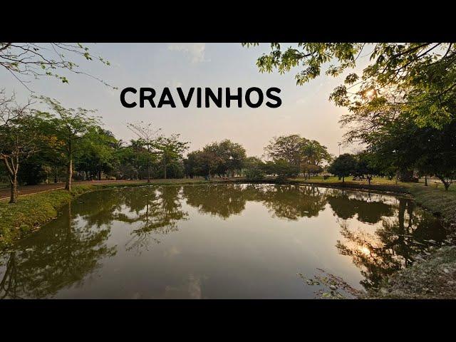 Cravinhos SP - Passeio da Rota 408 pela cidade de Cravinhos - 12° Temp - Ep 29